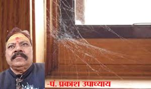 घर में मकड़ी का जाला होना...