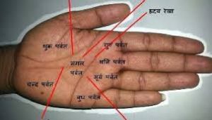 हाथों की रेखाएं बनाती हैं शुभ योग, बढ़ती है धन-दौलत