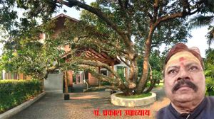 पेड़ या मंदिर की छाया घर पर पड़ना शुभ है या अशुभ? पेड़ या मंदिर की छाया घर पर पड़ना शुभ है या अशुभ?