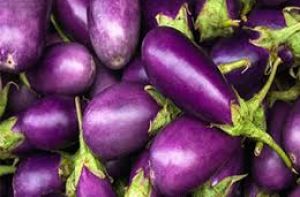 कार्तिक मास में क्या खाएं क्या नहीं खाएं कार्तिक मास में क्या खाएं क्या नहीं खाएं