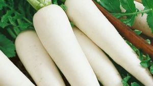 सबसे प्राचीन आविष्कारों में से एक- मूली