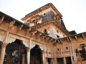  क्या है बीरबल के छत्ते का रहस्य 
