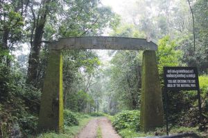   ये है सैरंध्रीवनम -द्रौपदी का वन,  जिसे अंग्रेजों ने नाम दिया साइलेंट वैली