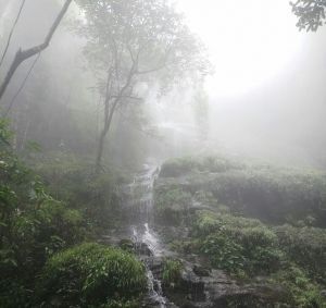 दुनियाभर के उन खास जगह, जहां सबसे अधिक होती है बारिश 