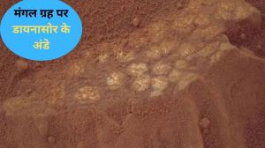  मंगल ग्रह पर मिले डायनासोर के अंडे…!