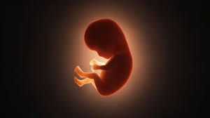  भारतीय वैज्ञानिकों ने गर्भ के अंदर 'जेनेटिक स्विच' का पता लगाया, गर्भावस्था में हो सकता मददगार