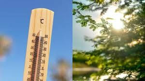  खिड़की से आती धूप को ऐसे रोकें, मिलेगा तुरंत ठंडक का एहसास