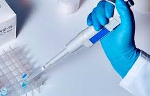 ओलंपिक दल को लौटने पर आरटी पीसीआर टेस्ट रिपोर्ट दिखाने की जरूरत नहीं ओलंपिक दल को लौटने पर आरटी पीसीआर टेस्ट रिपोर्ट दिखाने की जरूरत नहीं