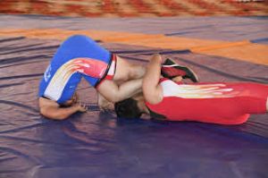 हरियाणा ने सीनियर कुश्ती राष्ट्रीय में अंतिम दिन सात स्वर्ण पदक जीते