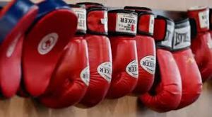 बीएफआई कप: पंघाल, विश्वनाथ हुसामुद्दीन सेमीफाइनल में, मंजू और चार अन्य फाइनल में पहुंचे बीएफआई कप: पंघाल, विश्वनाथ हुसामुद्दीन सेमीफाइनल में, मंजू और चार अन्य फाइनल में पहुंचे