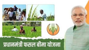 क्या है प्रधानमंत्री फसल बीमा योजना?   जानें स्टेप बाय स्टेप आवेदन प्रक्रिया 